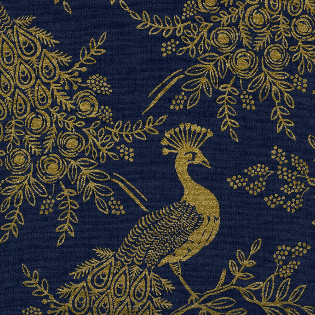 Menagerie - Royal Peacock Navy | Canvas (Metallic)