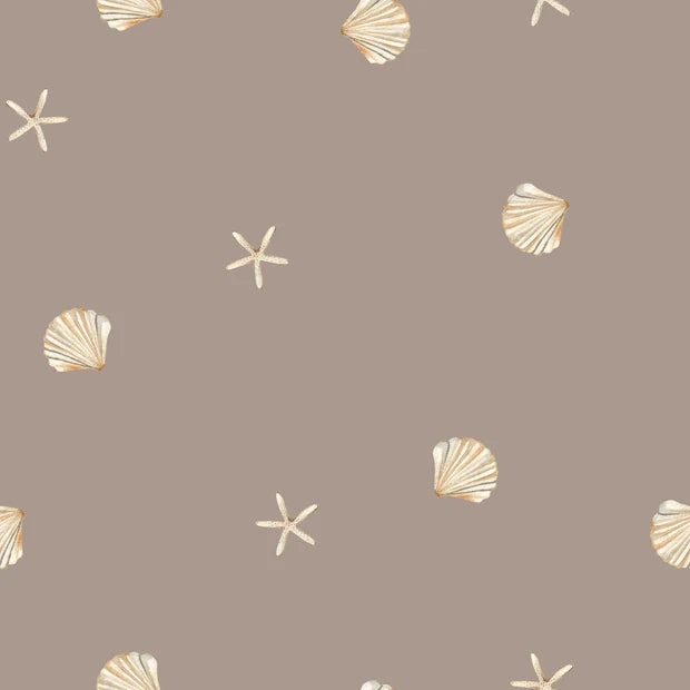 Shells | Knit