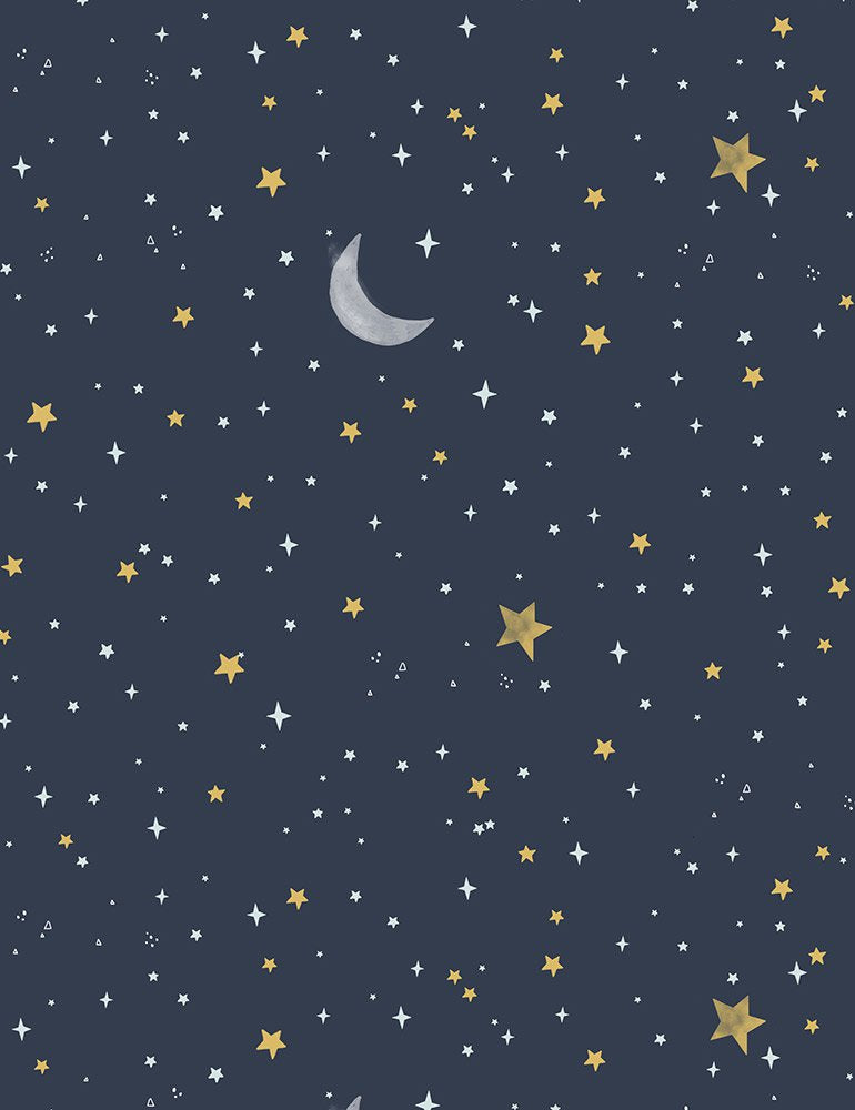 Night Sky Minky - 1.75 yards